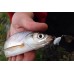 Тейл-спиннер UF Studio Hurricane 14g White