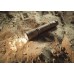 Фонарь Armytek Dobermann Pro Magnet USB Sand Теплый