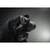 Фонарь Armytek Predator Pro Magnet USB Белый