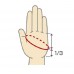 Перчатки GC 5 Cut MR-201 XL