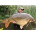 Тонущие бойлы Squid & Octopus - 15mm Boilie 1.8kg
