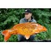 Тонущие бойлы Squid & Octopus - 15mm Boilie 1.8kg