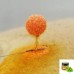 Wafters Coated Benzar 8мм Honey-Yellow 30мл