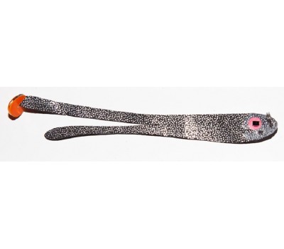 Плоская приманка Flat Bait ASmak Двухвост. 8см. Черное серебро