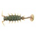 Виброхвосты съедобные искусственные LJ Pro Series ALIEN BUG 2,5 085 7у