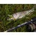 Приманка Crazy Fish NANO MINNOW 2,8 53-70-1-7 5у