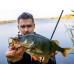 Приманка Crazy Fish NIMBLE 2,5 44-65-40d-6 7у