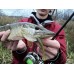 Приманка Crazy Fish Vibro fat 4 14-100-10-6 4y