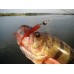 Приманка Crazy Fish VIBRO WORM 3,4 13-85-40d-6 5у