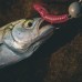 Приманка ZUB-CRAYZY LEECH 30мм-20шт.(цвет 310)