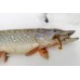 Приманка Crazy Fish VIBRO WORM 3-5-6-5 ж.чеснок