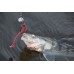 Приманка Crazy Fish VIBRO WORM 3-5-8-1 анис