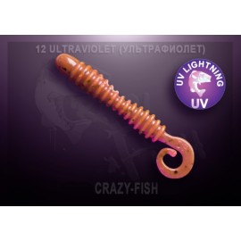 Приманка Crazy Fish ACTIVE SLUG 2