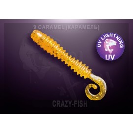 Приманка Crazy Fish ACTIVE SLUG 2