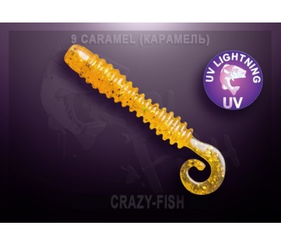 Приманка Crazy Fish ACTIVE SLUG 2