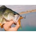 Приманка Crazy Fish ACTIVE SLUG 4