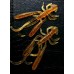 Рак 4 (3)