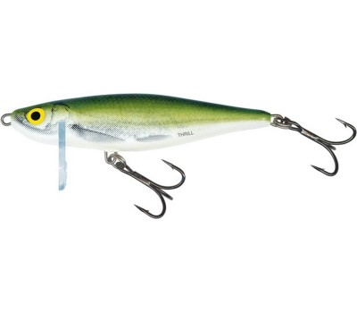 Воблер тонущий Salmo THRILL S 05/OB