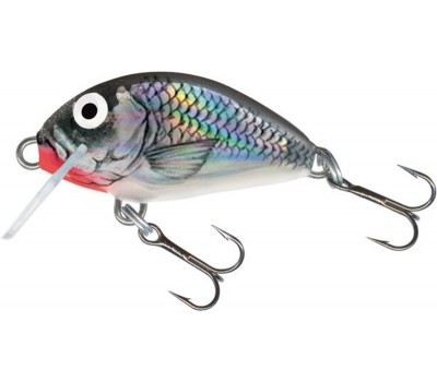 Воблер плавающий Salmo TINY F 03/HGS